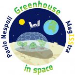 greenhouse greenhouse