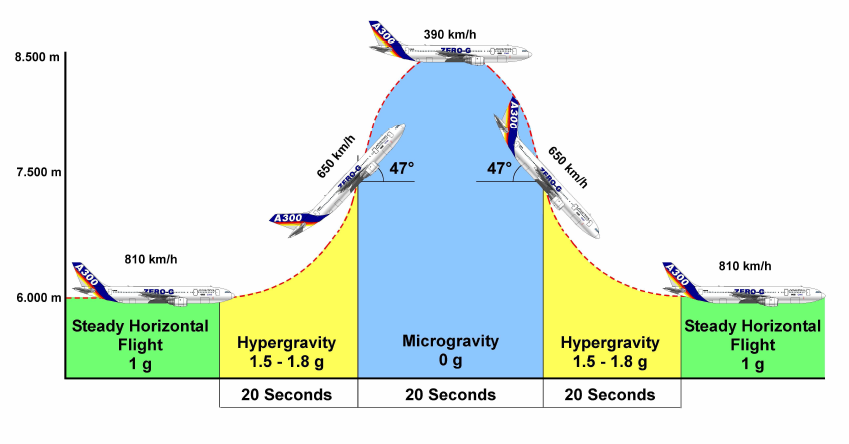 parabolic flight