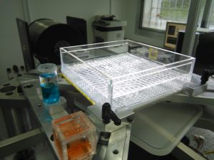 Surface waves induced in the Fluids Lab with vertical forcing
